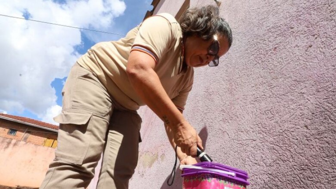 Mato Grosso do Sul registra 8.237 casos confirmados de dengue