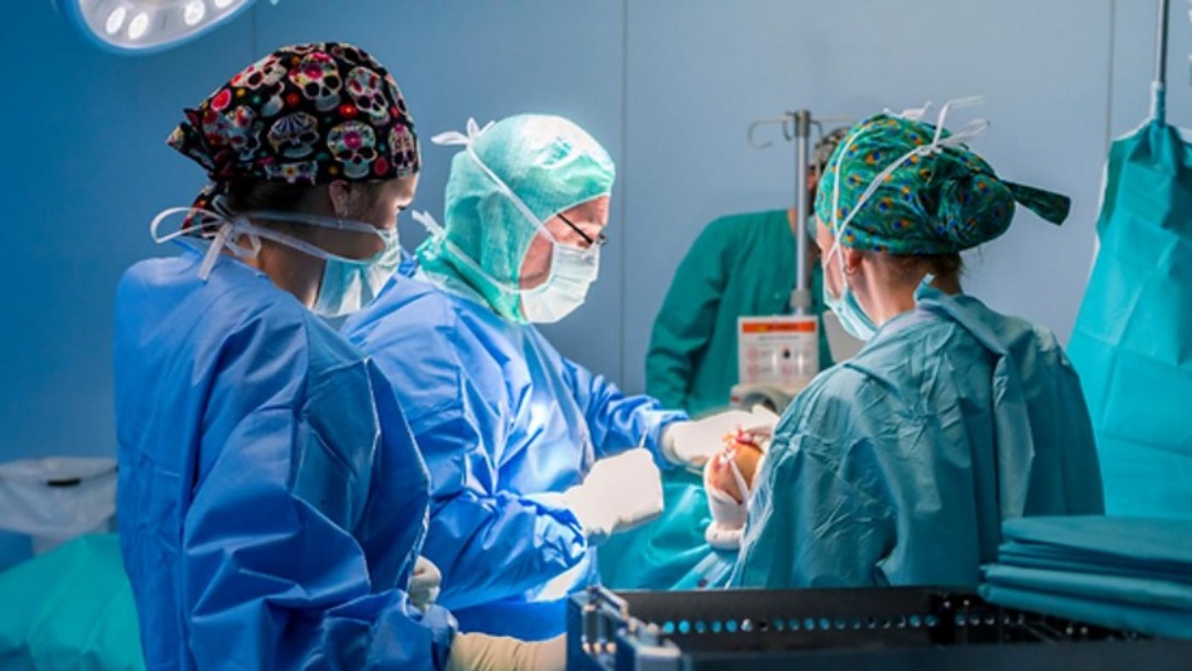 Brasil realiza mais de 30 mil transplantes pelo SUS em 2024
