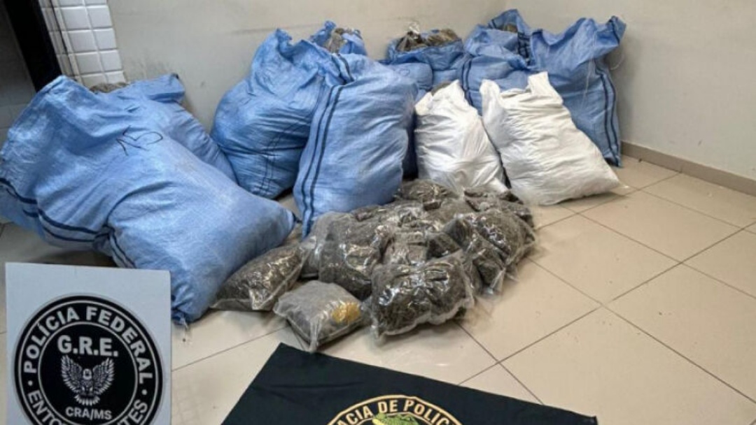 Investiga&ccedil;&atilde;o leva &agrave; apreens&atilde;o de 213 quilos de maconha e coca&iacute;na