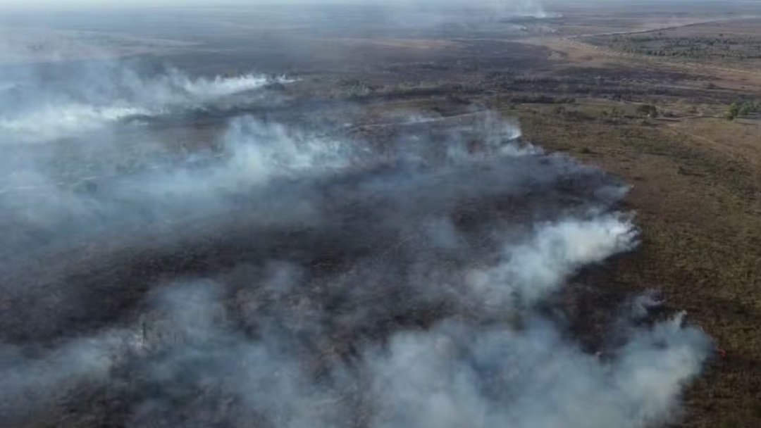 Governo federal decreta emerg&ecirc;ncia em 11 cidades de MS devido aos inc&ecirc;ndios florestais