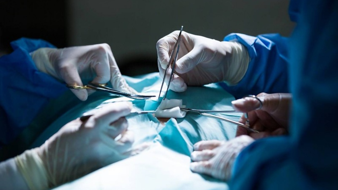 Transplante de f&iacute;gado: 2,3 mil pessoas aguardam cirurgia no Brasil