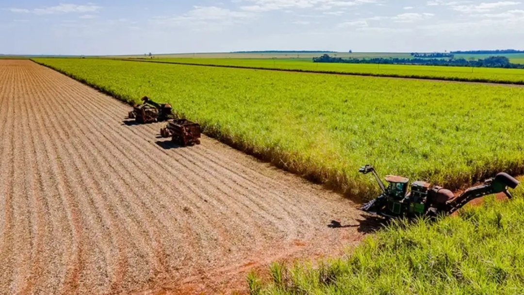 Tempo desfavor&aacute;vel reduz desempenho da safra de cana no Centro-Sul