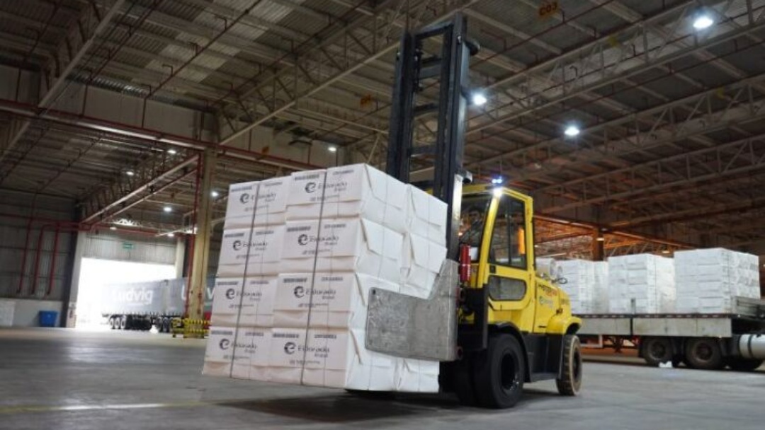 Exportações de Mato Grosso do Sul crescem mais de 4% no ano