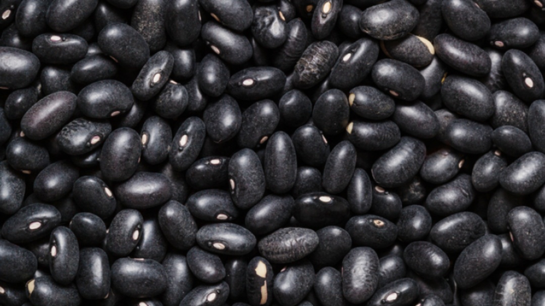 Brasil amplia mercados e conquista novas aberturas no Oriente M&eacute;dio