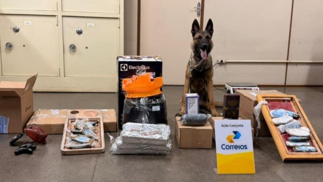 Com ajuda de cão farejador, polícia apreende drogas nos Correios