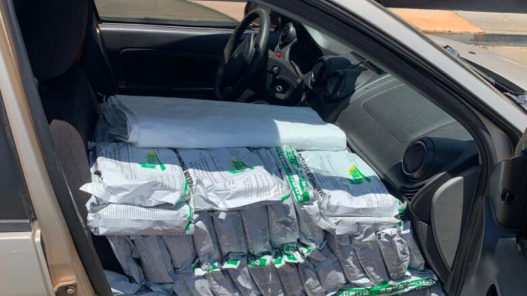 Pol&iacute;cia apreende meia tonelada de inseticida contrabandeado