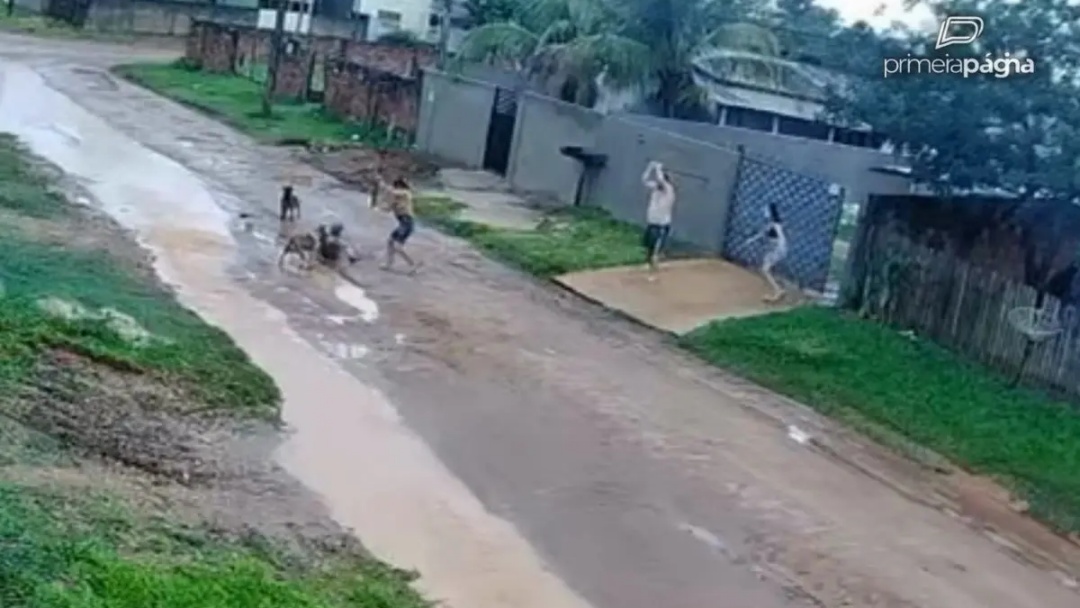 Idoso &eacute; atacado por dois c&atilde;es na rua e fica ferido em Comodoro