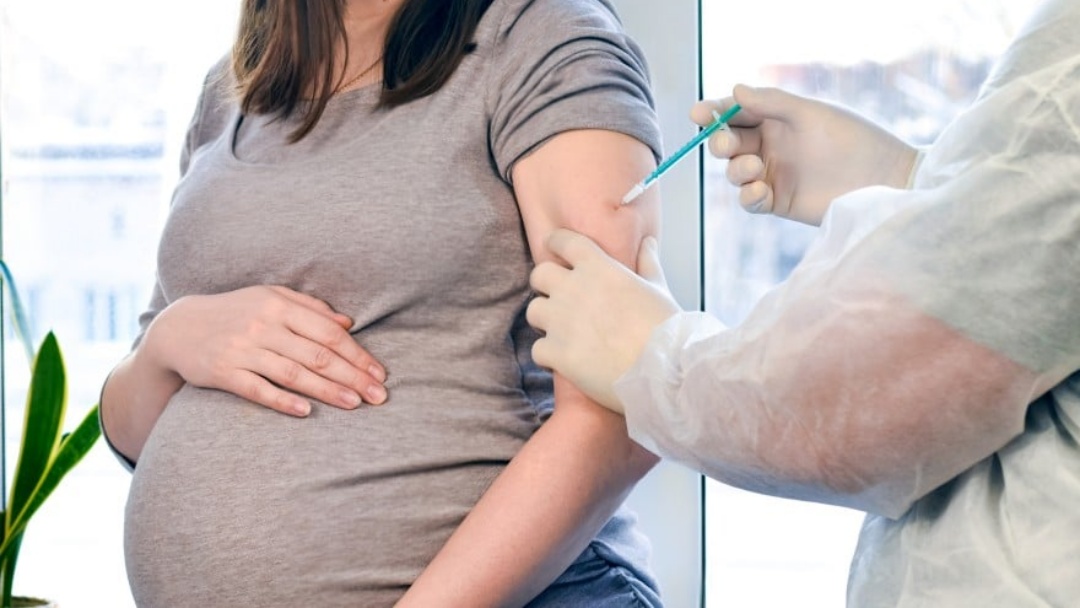 Sa&uacute;de vai vacinar gestantes contra bronquiolite a partir de dezembro