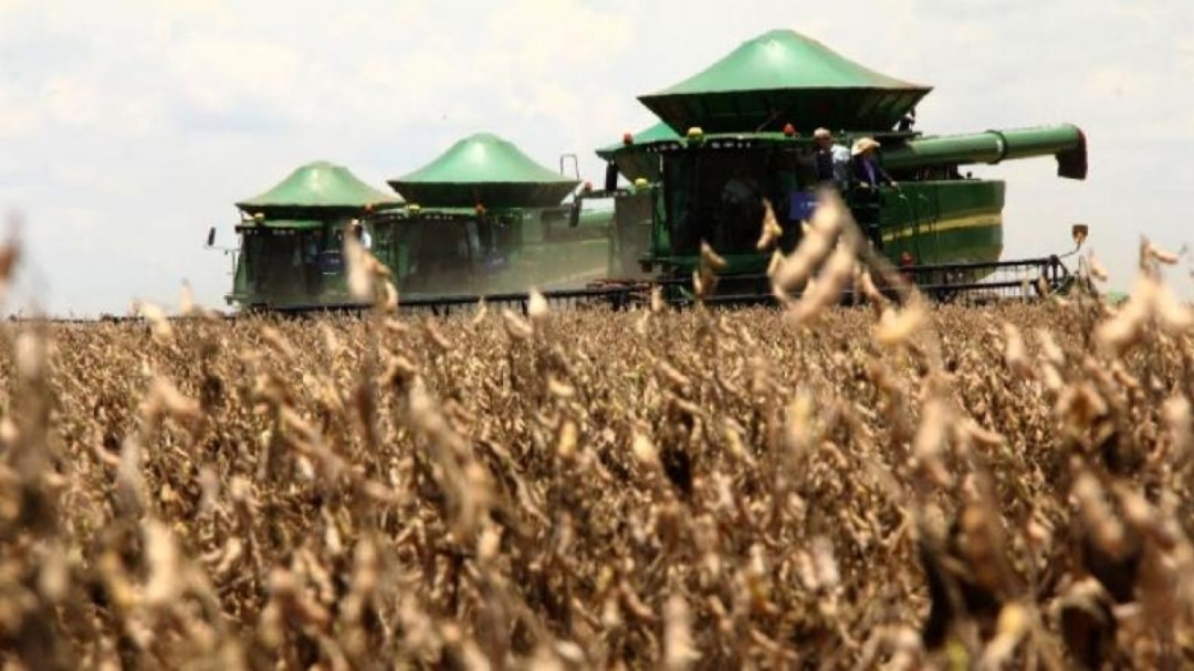 Cr&eacute;dito rural recua para 53% em outubro em Mato Grosso do Sul
