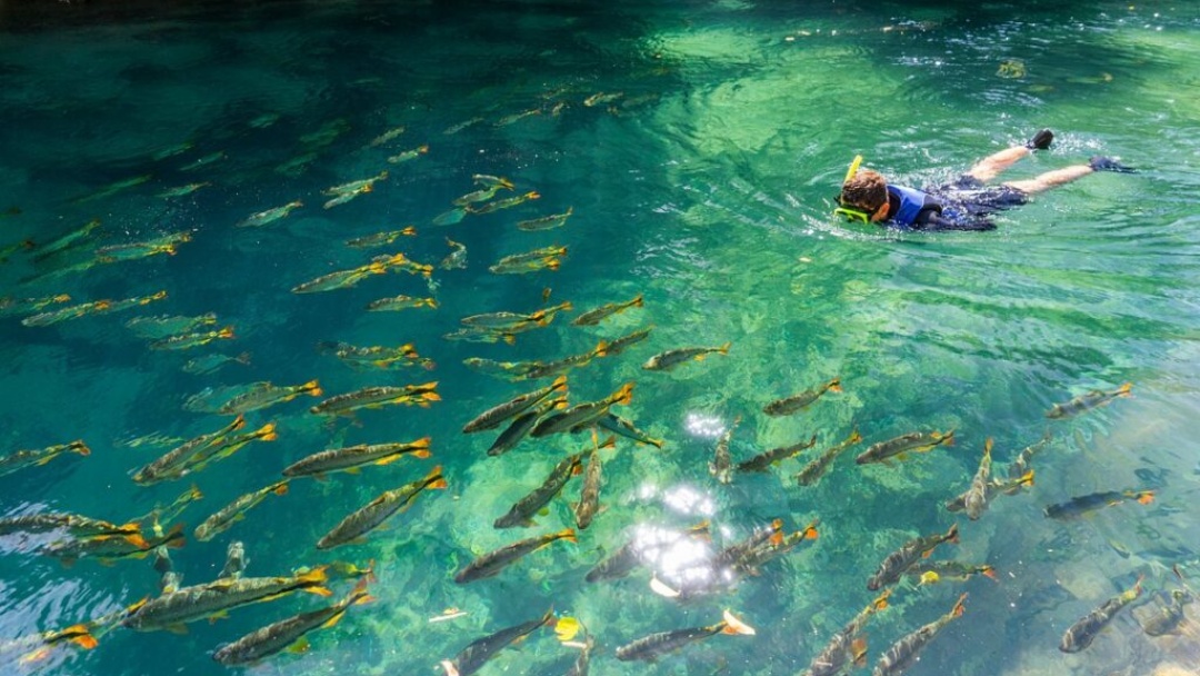 A partir de dezembro, turista que visitar Bonito vai pagar taxa di&aacute;ria de R$ 15