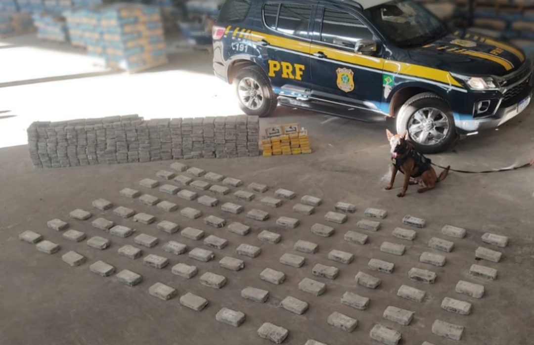 Pol&iacute;cia apreende 386 quilos de coca&iacute;na em carga de cimento