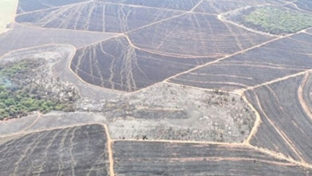 Inc&ecirc;ndio que devastou &aacute;rea e resultou em multa milion&aacute;ria &eacute; investigado por promotoria