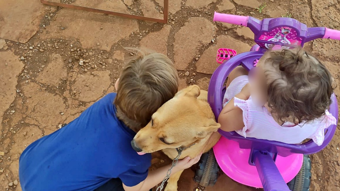 Boa notícia! Cachorrinha Nina é localizada após desaparecer na madrugada