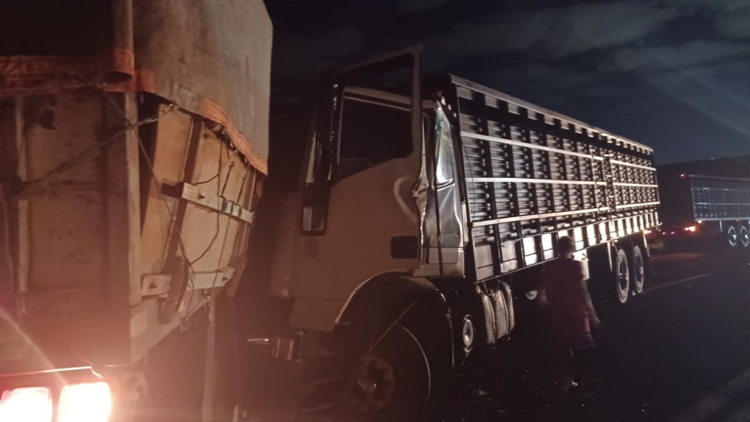 Carreta volta em subida da BR-163 e colide em caminh&atilde;o com gado