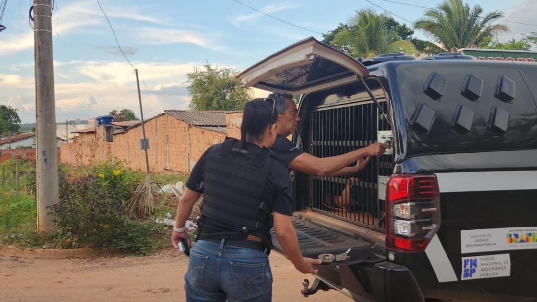 Adolescente de 15 anos &eacute; estuprada em confraterniza&ccedil;&atilde;o e rapaz &eacute; preso pela pol&iacute;cia