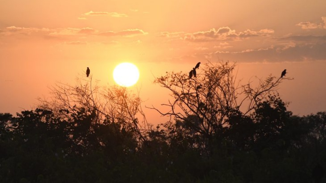 Tempo firme e calor predominam em Mato Grosso do Sul e regi&atilde;o neste domingo