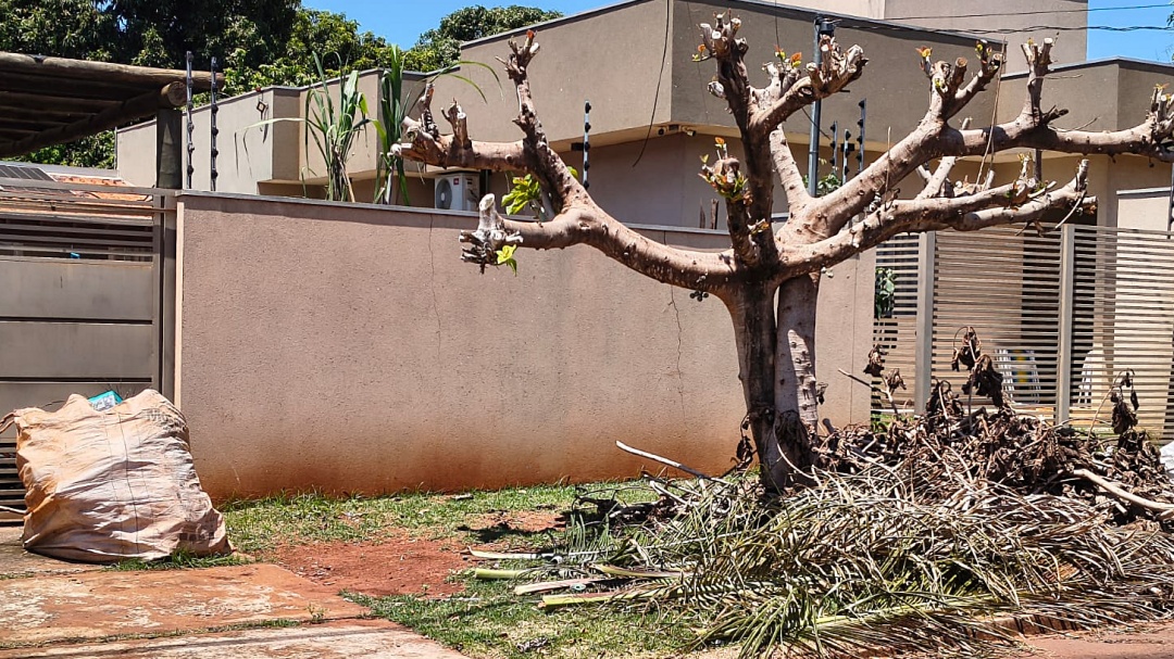 Prefeitura abre ecoponto para receber galhos e entulho e coleta de bags continuar&aacute; temporariamente