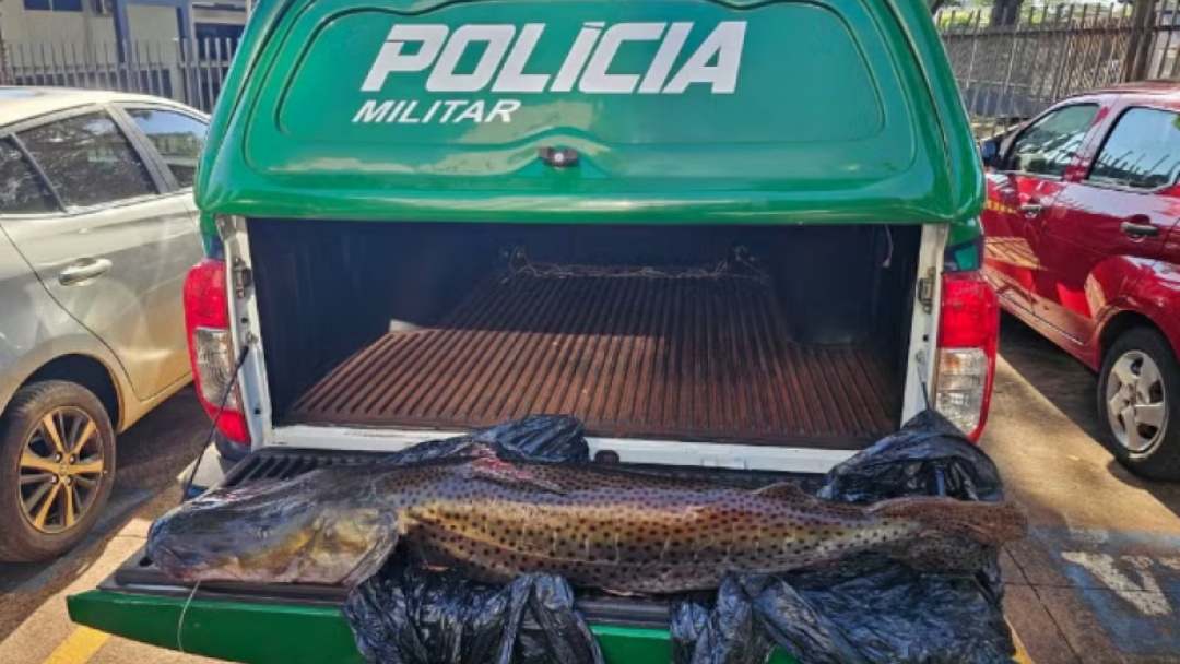 Pescador quebra a Piracema e é multado em R$ 33 mil por Pintado de 21 kg em MS
