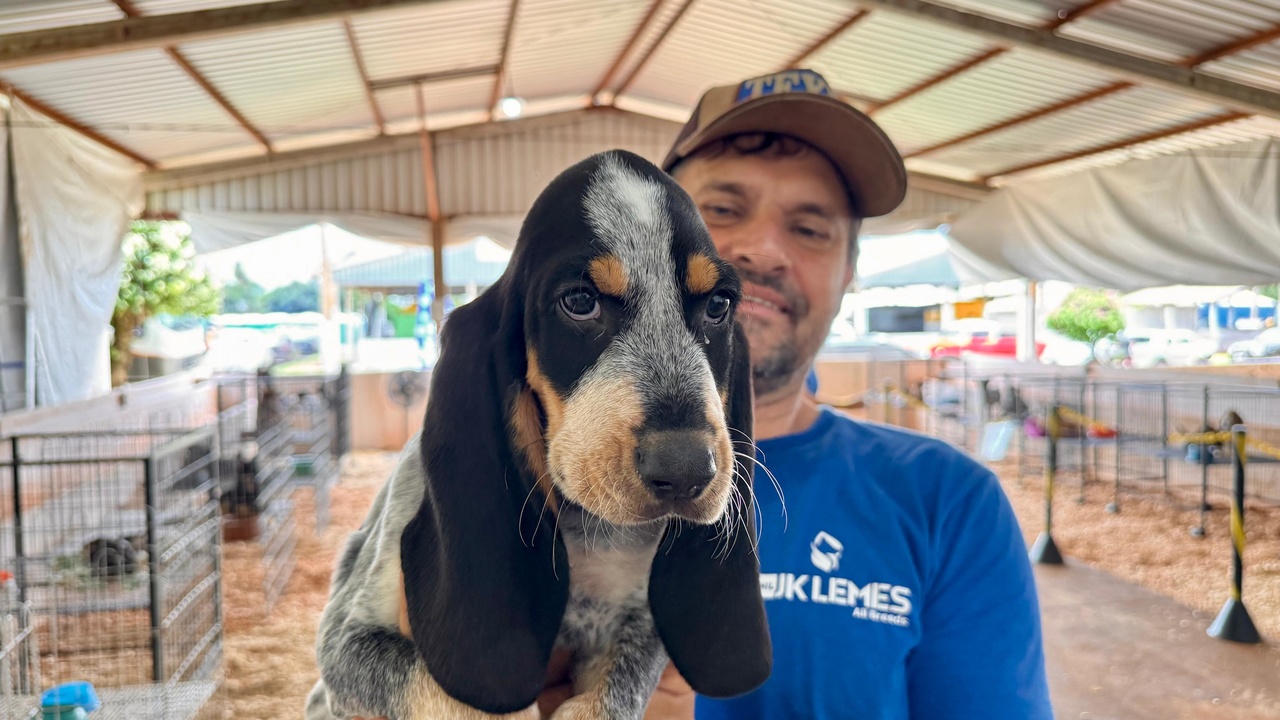 Casal do Paraná traz paixão por pets e mais de 20 raças de filhotes para a Expo-Sidrolândia