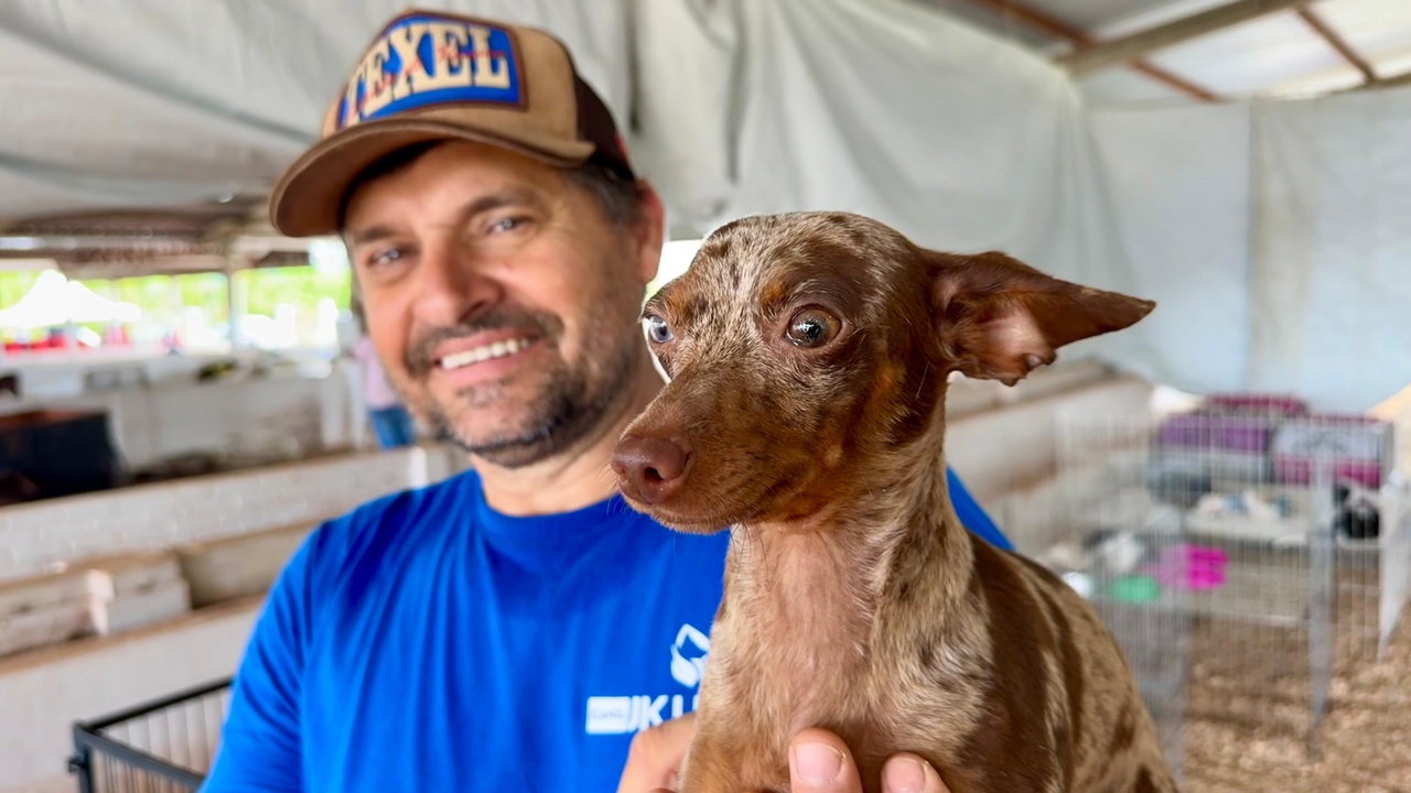 Casal do Paraná traz paixão por pets e mais de 20 raças de filhotes para a Expo-Sidrolândia