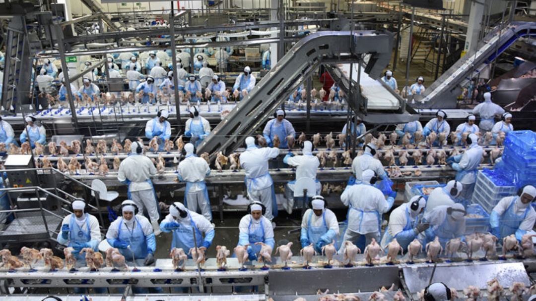 Exportações de industrializados de MS alcançou quase US$ 600 milhões em novembro