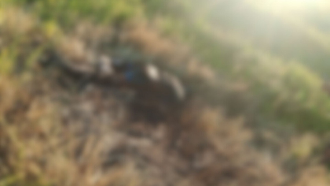 Após sair para fazer cobrança, homem de 32 anos é encontrado carbonizado em rodovia