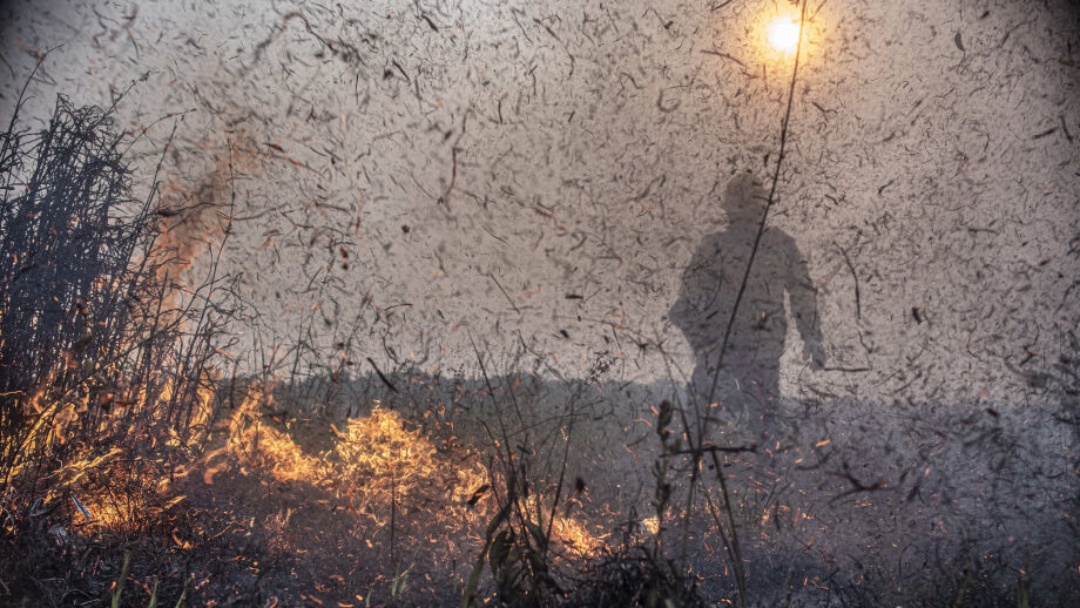 Governo federal falhou na preven&ccedil;&atilde;o de cat&aacute;strofes no Pantanal, diz TCU   