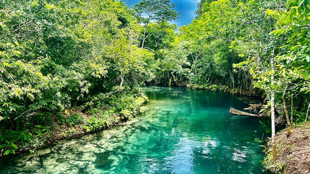 Prefeitura de Bonito apura suspeita de fraude em isenções da taxa ambiental