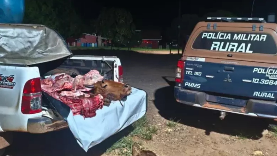 Funcion&aacute;rio &eacute; preso por furtar gado e vender em outra fazenda