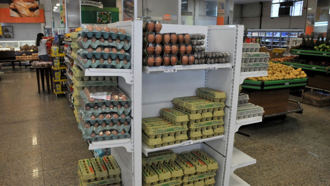 Exporta&ccedil;&otilde;es de ovos batem recorde de volume e receita em 2025