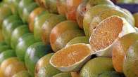 Mercado de laranja come&ccedil;a 2026 em ritmo lento