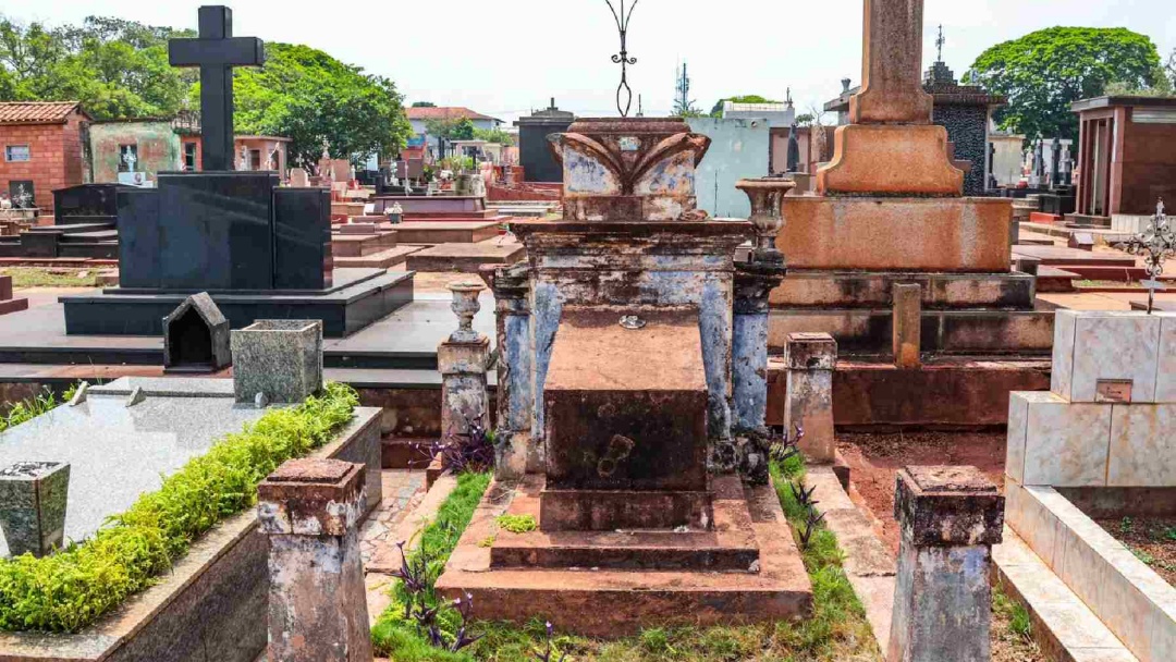 Ossada &eacute; encontrada embaixo de &aacute;rvore no Cemit&eacute;rio Santo Amaro; pol&iacute;cia suspeita de ritual religioso