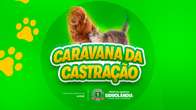 Sa&uacute;de promove mutir&atilde;o para c&atilde;es e gatos no Gin&aacute;sio Oleg&aacute;rio da Costa Machado