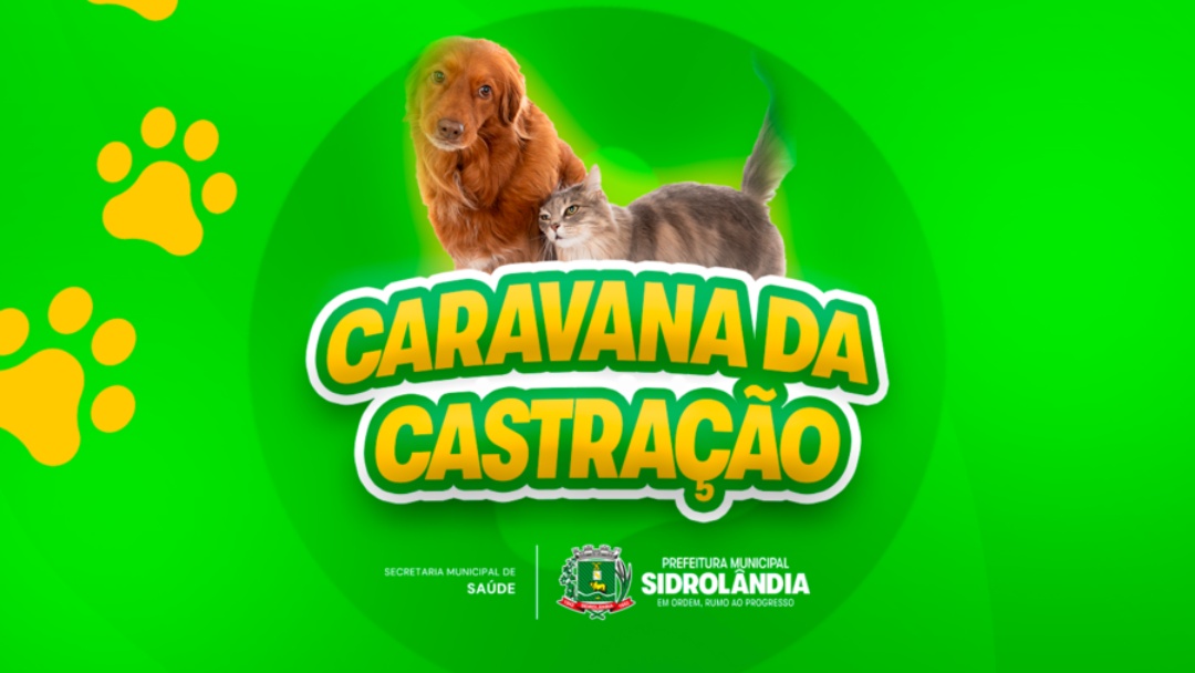 Sa&uacute;de promove mutir&atilde;o para c&atilde;es e gatos no Gin&aacute;sio Oleg&aacute;rio da Costa Machado