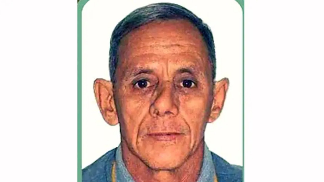 Morador de F&aacute;tima do Sul morre ap&oacute;s ataque de abelhas 