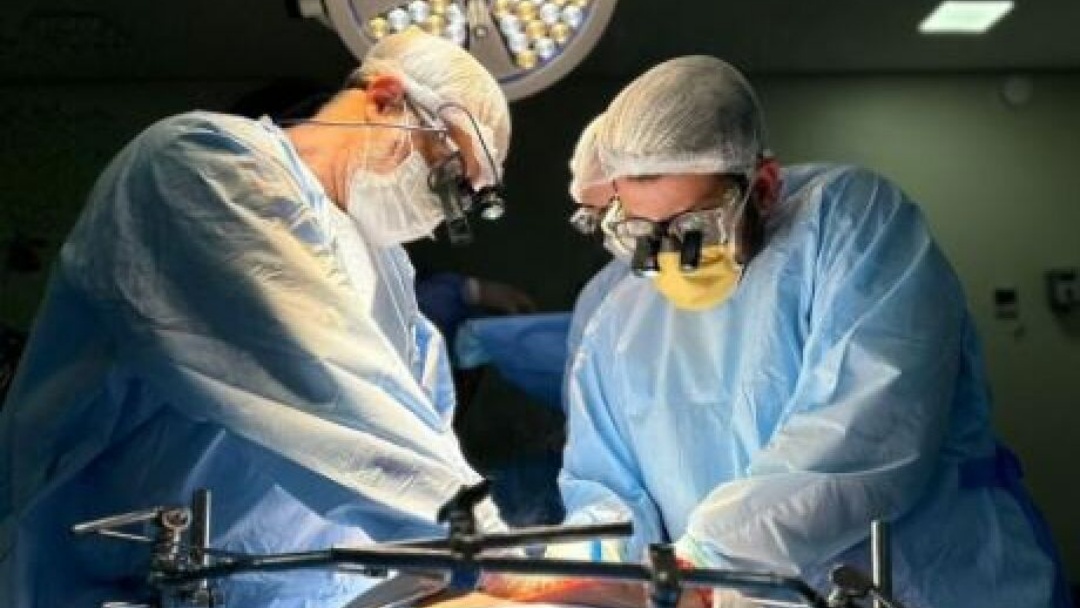 Mato Grosso do Sul registra aumento de 16% nos transplantes pelo SUS em 2025   