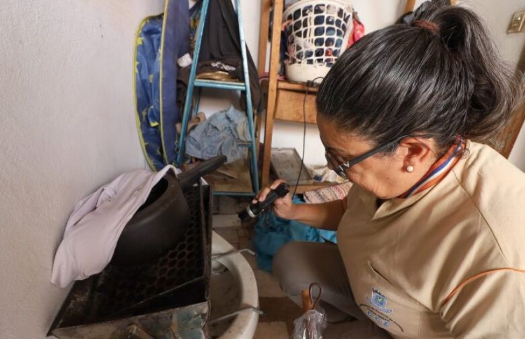 Mato Grosso do Sul registra 23 casos confirmados de dengue