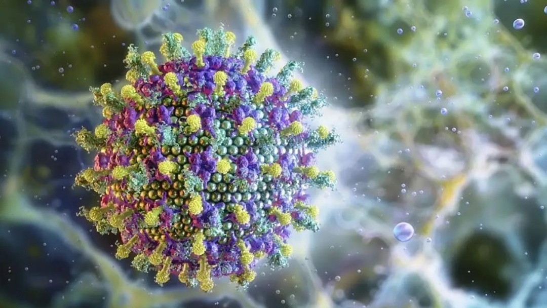 Nipah preocupa o mundo, mas Brasil n&atilde;o registra transmiss&atilde;o do v&iacute;rus