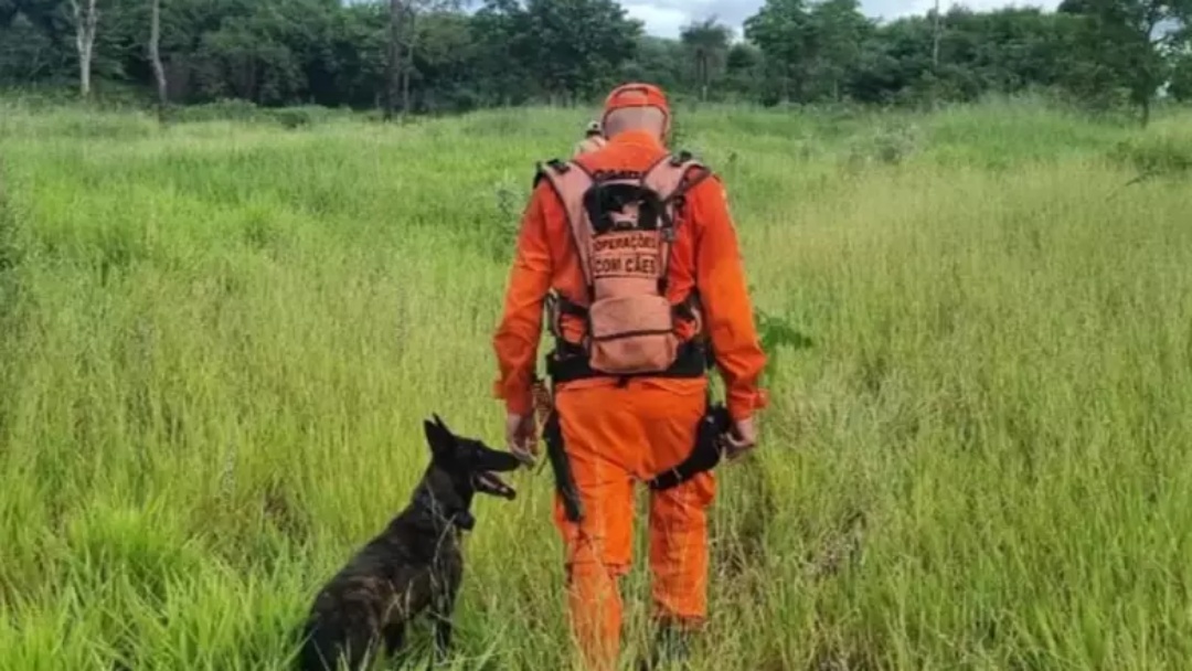 Cão farejador encontra corpo de rapaz que estava desaparecido