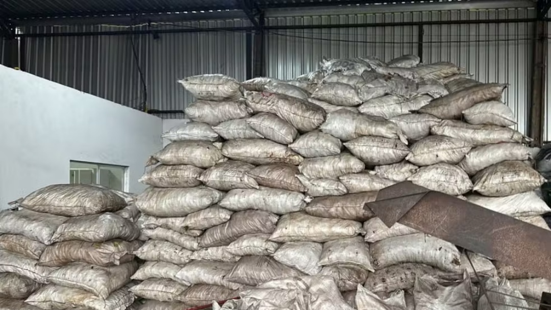 Pol&iacute;cia fecha carvoaria clandestina e prende gerente e dono em Campo Grande