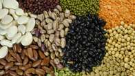 Exporta&ccedil;&otilde;es brasileiras de pulses crescem 30% em 2025