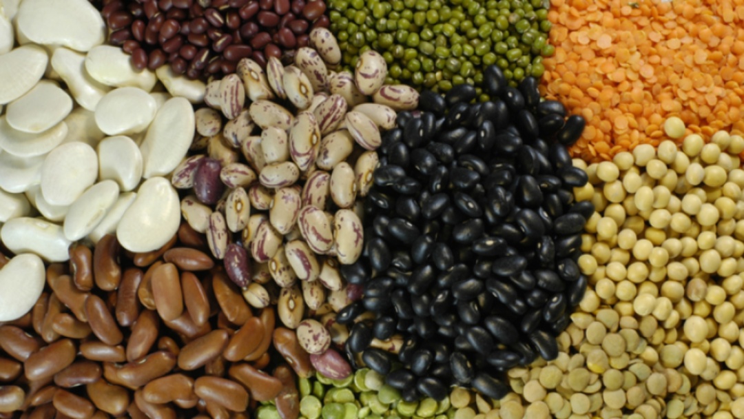 Exporta&ccedil;&otilde;es brasileiras de pulses crescem 30% em 2025