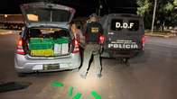 Motorista &eacute; preso com quase 200kg de maconha dentro de ve&iacute;culo