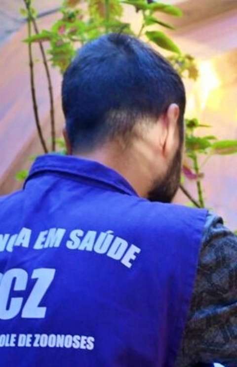 Com mais de 800 notifica&ccedil;&otilde;es, Mato Grosso do Sul tem 79 casos confirmados de dengue