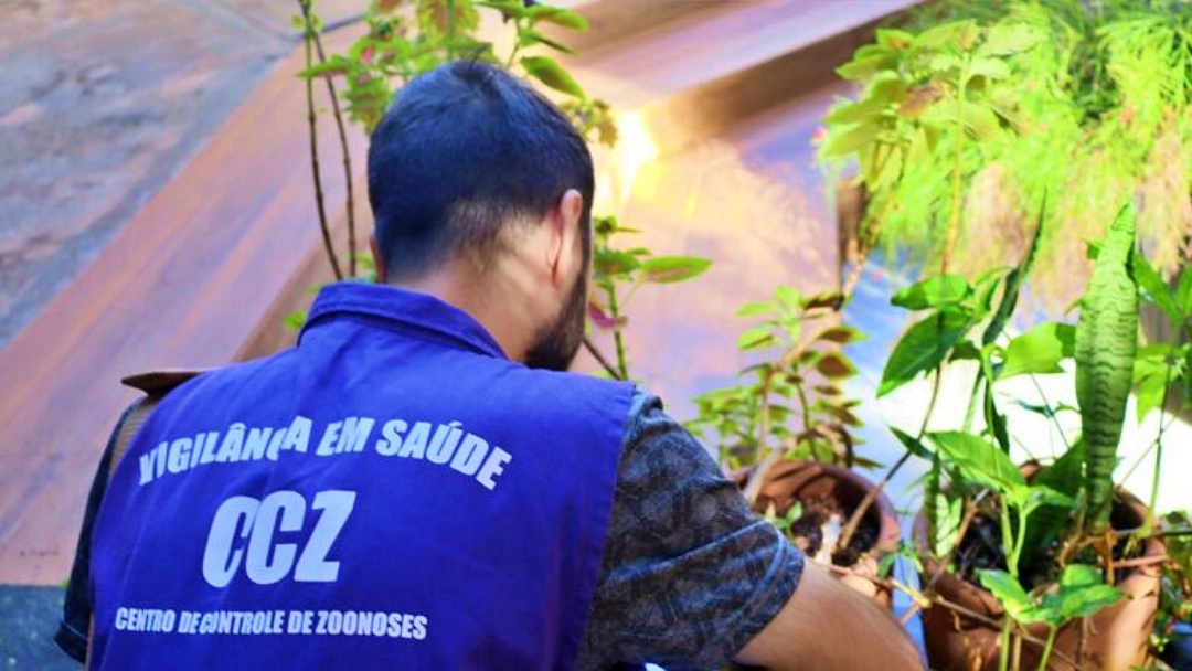 Com mais de 800 notifica&ccedil;&otilde;es, Mato Grosso do Sul tem 79 casos confirmados de dengue