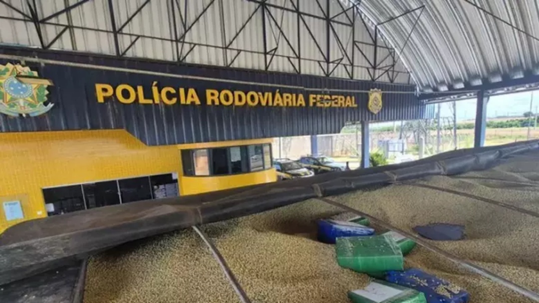 Tr&ecirc;s toneladas de maconha que sa&iacute;ram de MS s&atilde;o apreendidas no PR