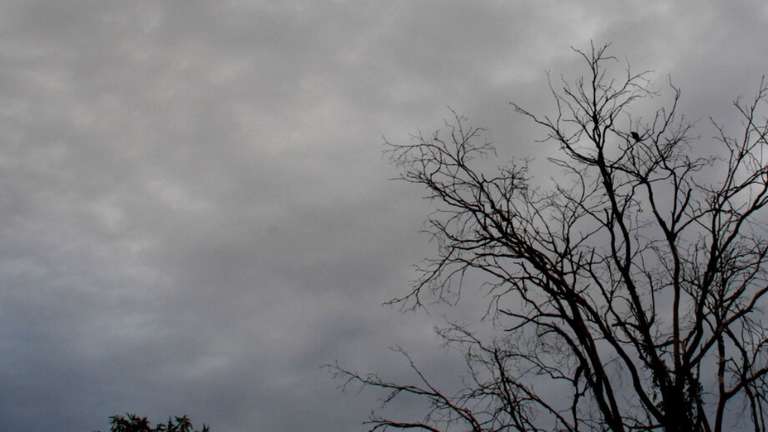 Alerta de tempestades: frente fria e umidade mudam o tempo hoje