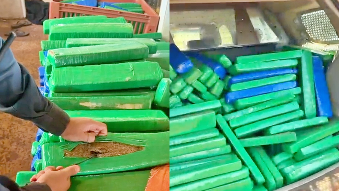 Pol&iacute;cia Militar apreende mais de 1 tonelada de maconha em ch&aacute;cara no Assentamento Eldorado