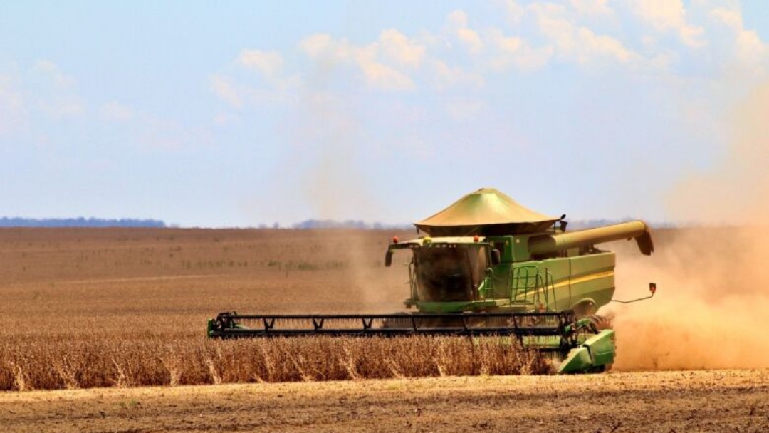 MS alcan&ccedil;a 15% da &aacute;rea de soja colhida, com destaque para a regi&atilde;o Sul do Estado