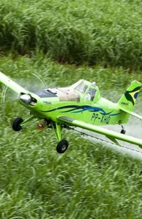 Agrot&oacute;xicos est&atilde;o mais nocivos em todo o mundo, aponta estudo